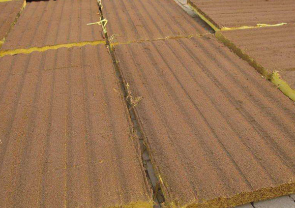 ���ݾ�������